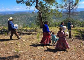 Lleva Estado NutriChihuahua a comunidades de difícil acceso en la Sierra Tarahumara.