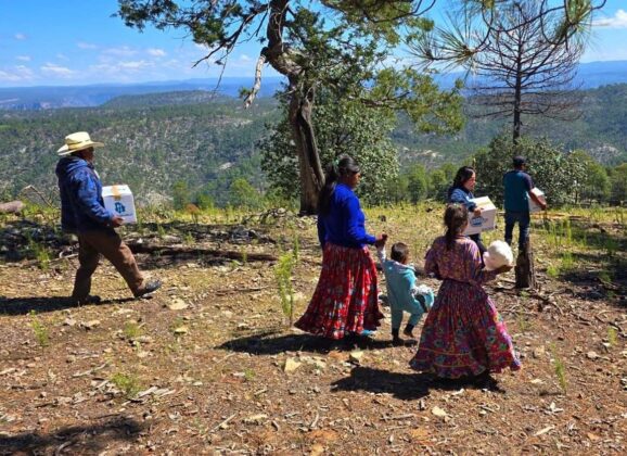 Lleva Estado NutriChihuahua a comunidades de difícil acceso en la Sierra Tarahumara.