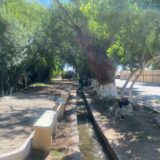 Lleva Gobierno del Estado programa “Colores de Chihuahua” a Aldama.