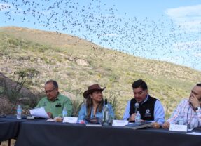 Congreso del Estado sesiona en Santa Eulalia por el Día del Murciélago; Rosana Díaz destaca su valor ecológico.